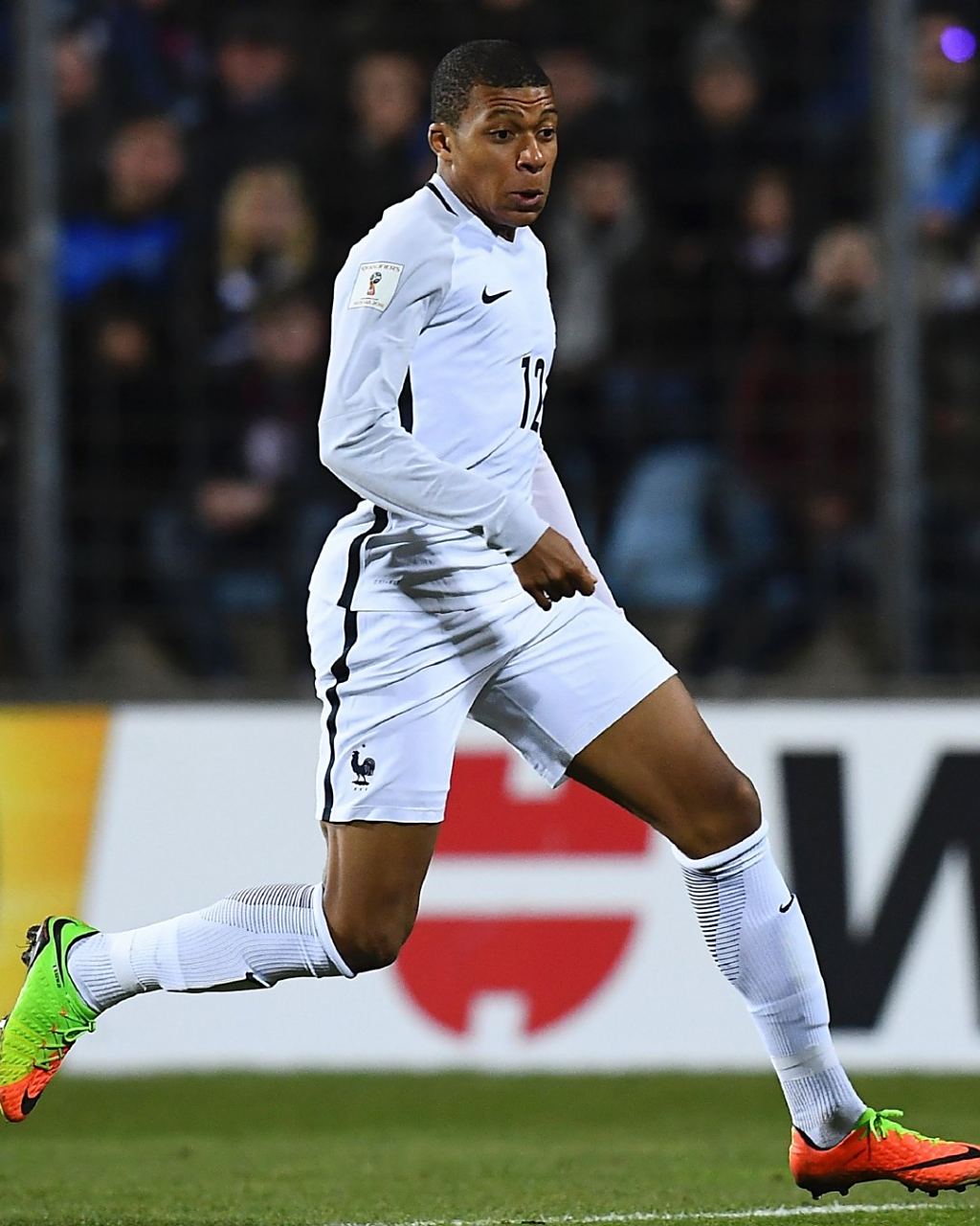 与排名红利 与排名红利